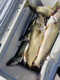 Lakeside Marblehead Report Photo 2