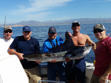 Offshore and inshore delight!