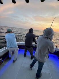 South Haven Report Photo 1