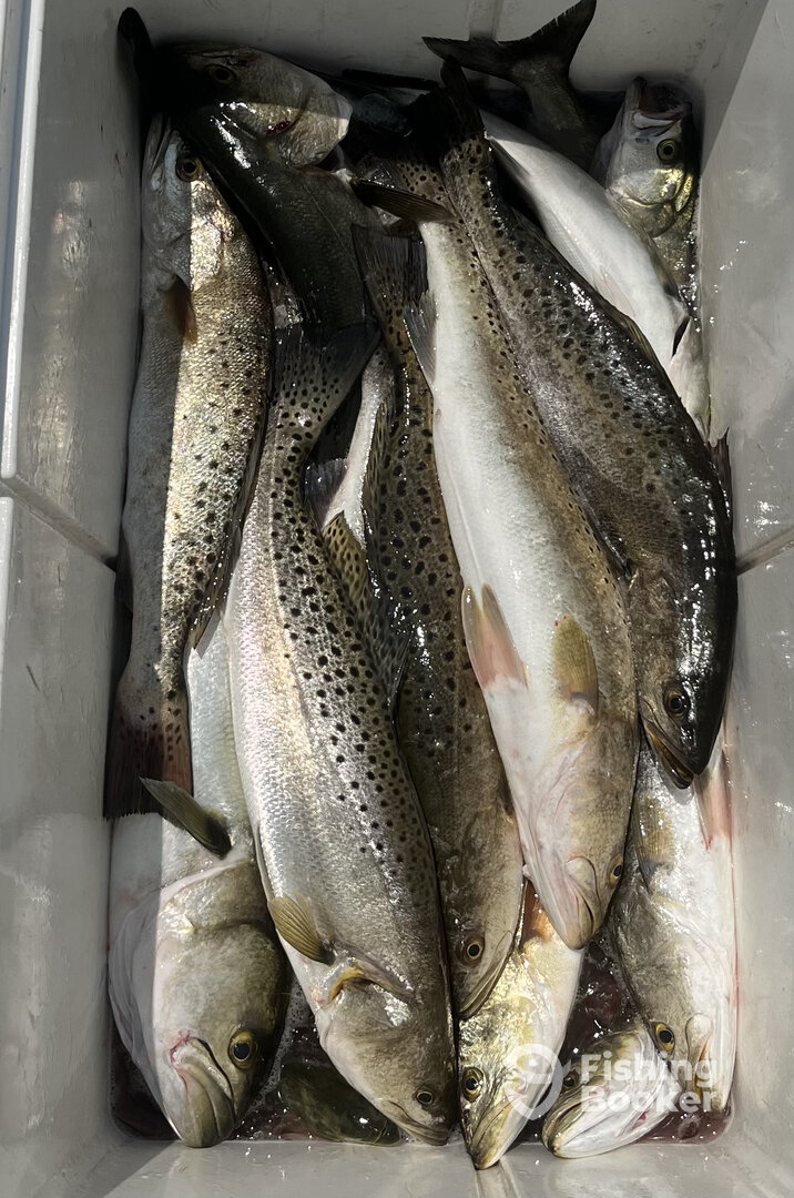 Nags Head Report Photo 0