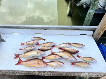 Port Orange Report Photo 1