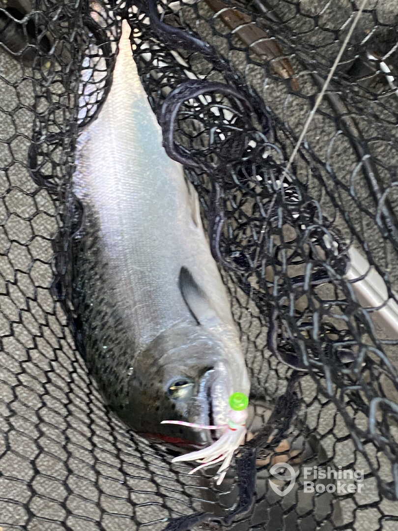 Granite Bay Report Photo 0