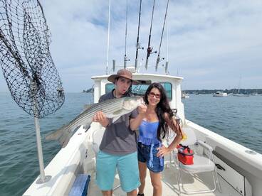 Striped Bass Action Heating Up!!!!