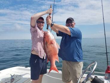 Gulf Shores Report Photo 2