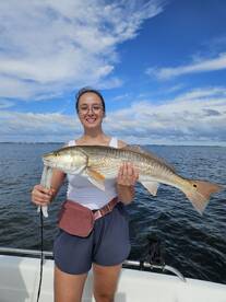 Sarasota Report Photo 1