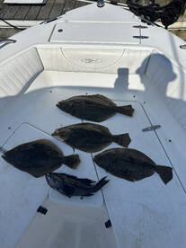 Cape May Report Photo 2