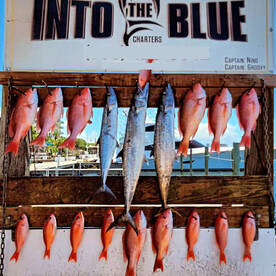 Destin Report Photo 1
