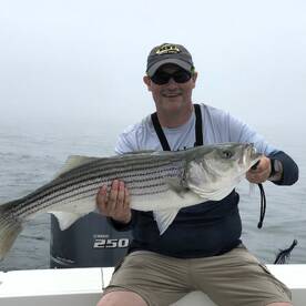 Wind and Fog But We're Still Getting it 