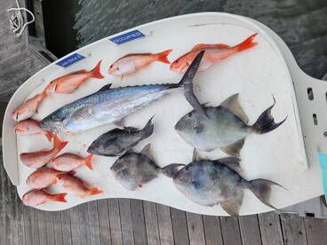 Seabrook Island Report Photo 1
