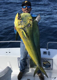 Cabo San Lucas Report Photo 1