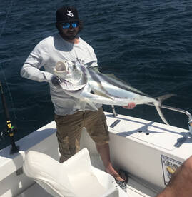 Cabo San Lucas Report Photo 2
