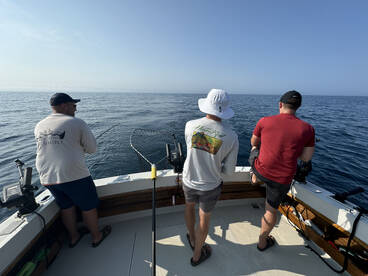 South Haven Report Photo 1