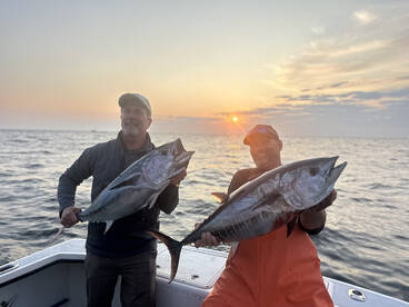 Narragansett Report Photo 2