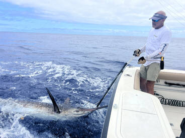 Blue marlin! 