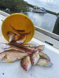 Port Orange Report Photo 1