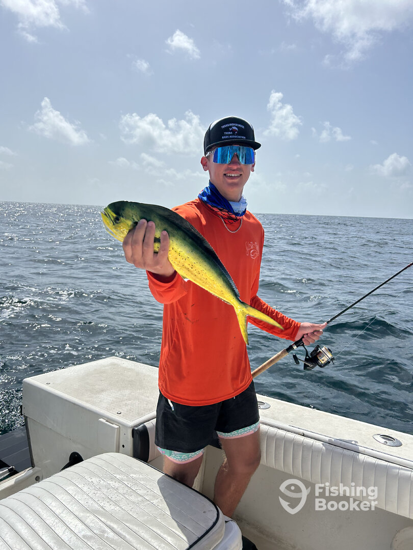 Galveston Report Photo 0