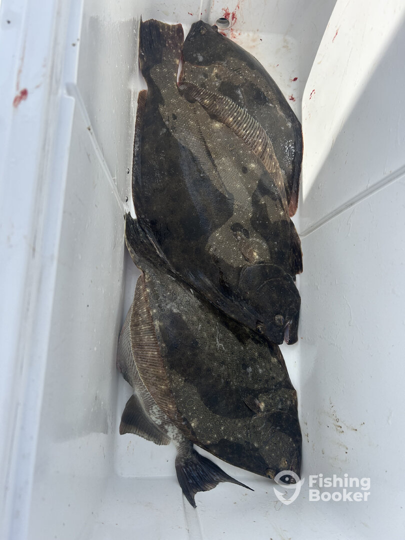 Delaware Bay Report Photo 0