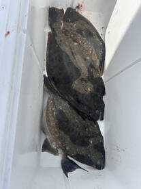 Indian River Inlet Report Photo 2