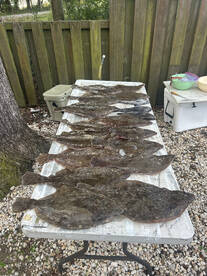 Delaware Bay Report Photo 1