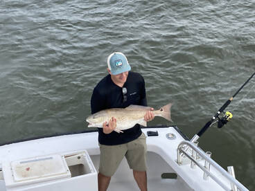 Red drum triggerfish sea bass ribbonfish