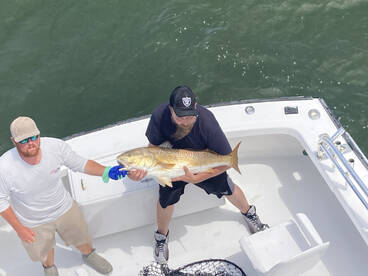 Nags Head Report Photo 2