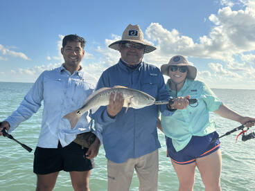 Port Isabel Report Photo 2