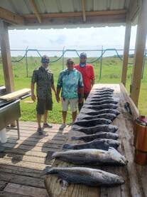 Texas City Report Photo 1