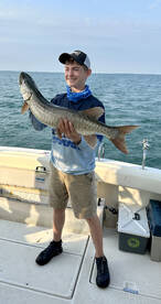 St. Clair Shores Report Photo 1