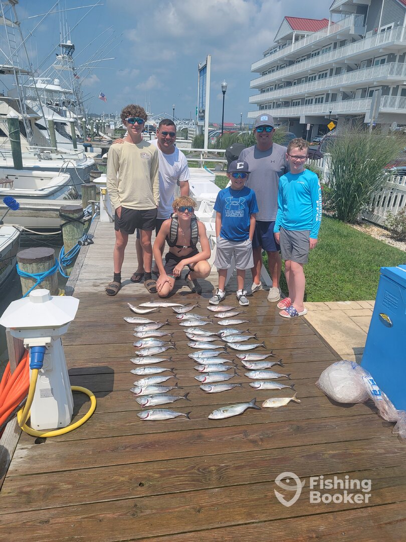 Ocean City Report Photo 0
