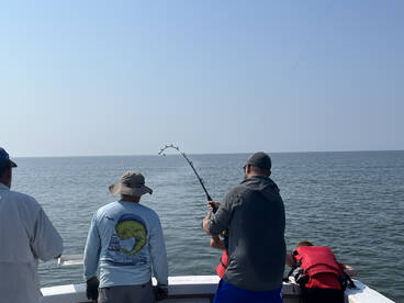 Had a good day today fishing in the bay 