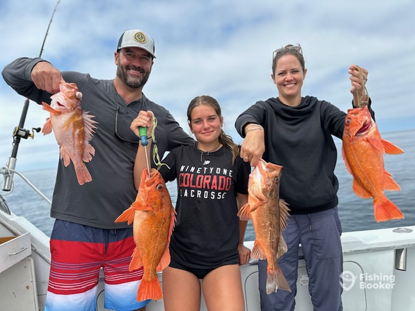 Lots of big Rockcod