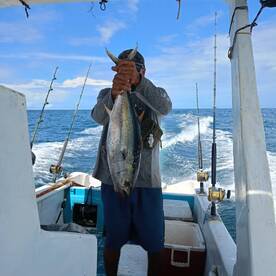 Tamarindo Report Photo 1