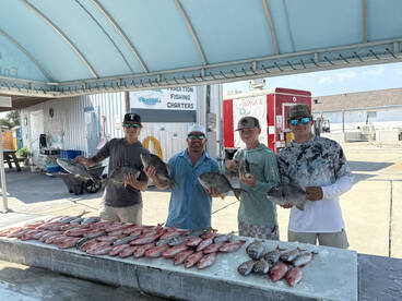 Pensacola Report Photo 1