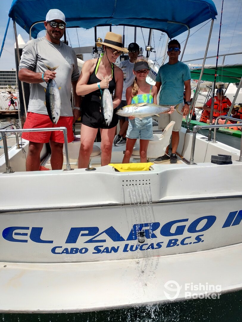 Cabo San Lucas Report Photo 0