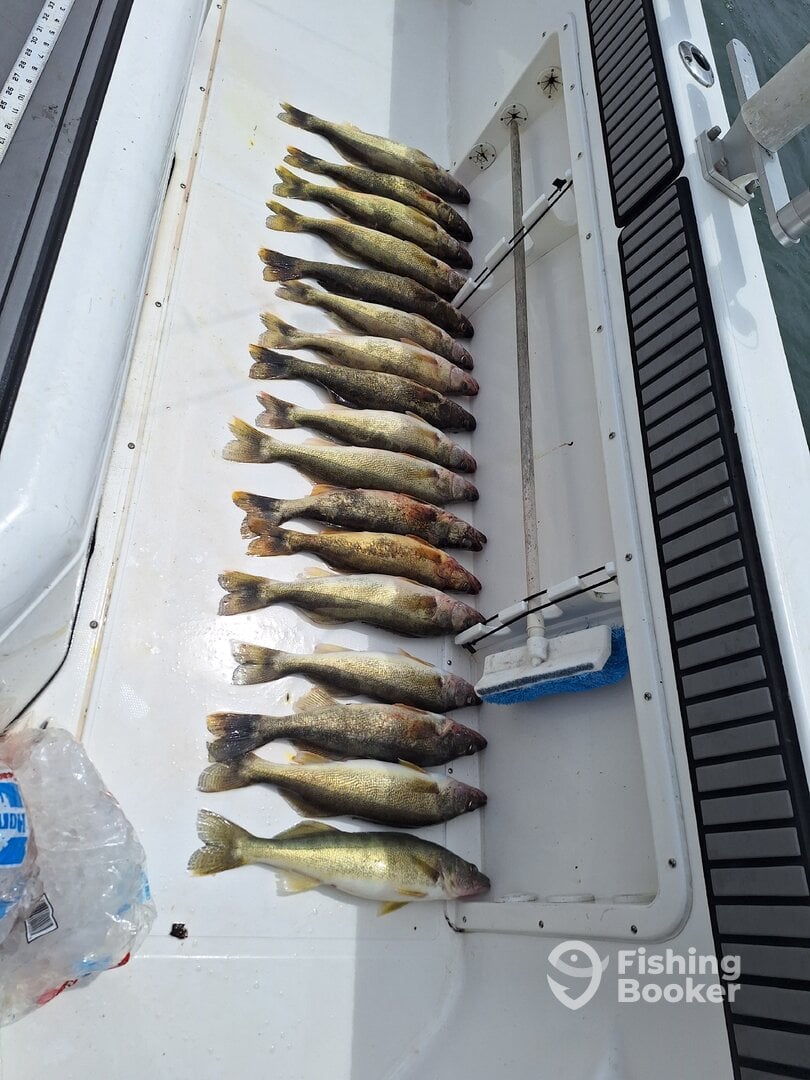 Port Clinton Report Photo 0