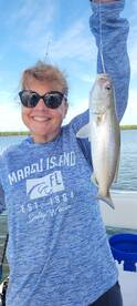 Marco Island Report Photo 2