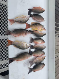 Boynton Beach Report Photo 2
