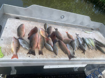 Boynton Beach Report Photo 1