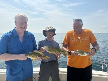 St. Clair Shores Report Photo 2