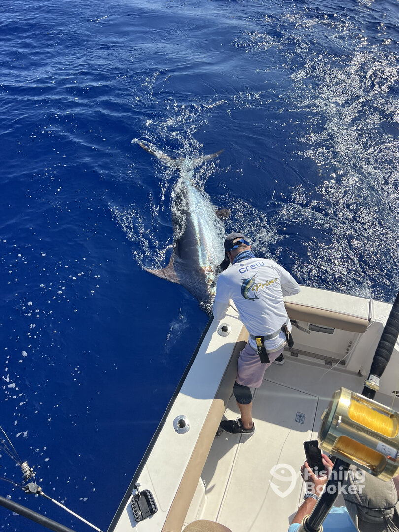 Calheta Report Photo 0