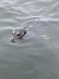 Afternoon trip sucess!!