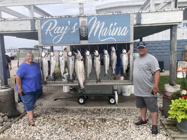 King Salmon fishing in Ludngton