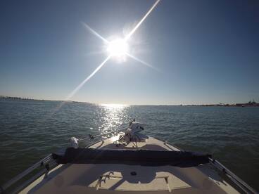 Jacksonville Report Photo 2