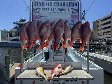 Red Snapper Season Still Open