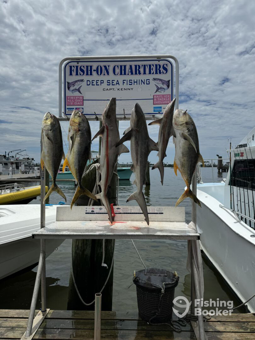 Biloxi Report Photo 0