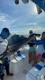 Sail fish surpise!