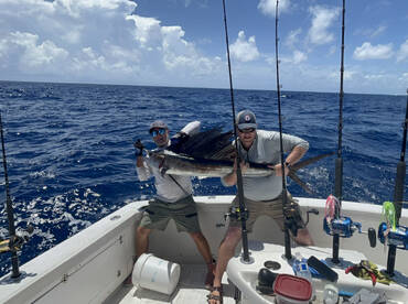 Nice Sailfish caught trolling Ballyhoos 