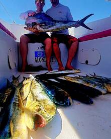 Playa Del Carmen Report Photo 1