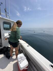 Haddock Bag Limit Reached!!!!