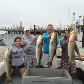 Escape the heat on land 